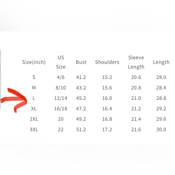 Western Ruffle Blouse - Picture 5 of 5